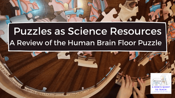 A Mom's Quest to Teach: Puzzles as Science Resources; part of the brain puzzle being put together