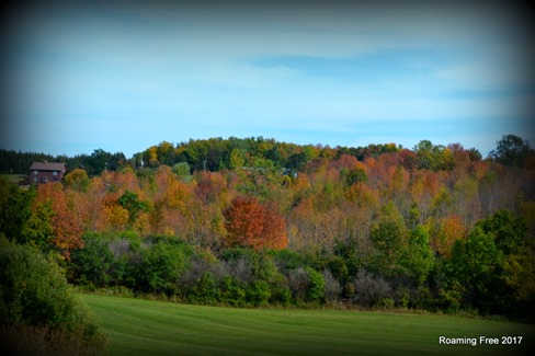 Starting to get some fall color