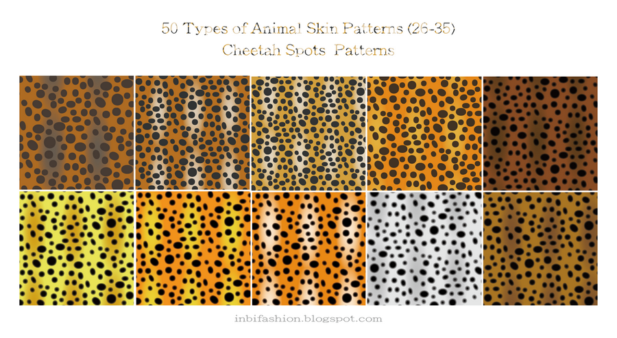 Cheetah Spots  Patterns