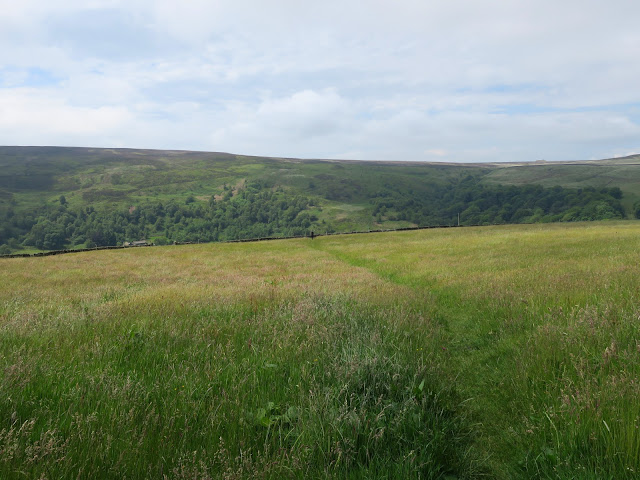 The broad view at the start of the walk.