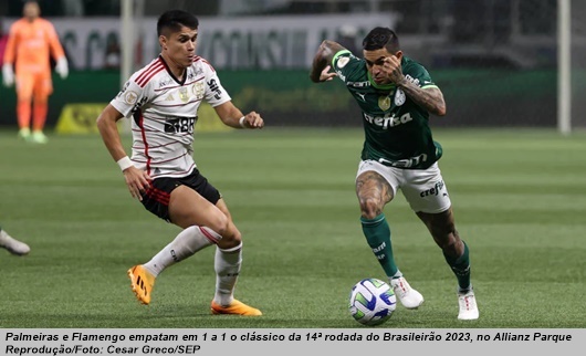 www.seuguara.com.br/Palmeiras/Flamengo/14ª rodada/Brasileirão 2023/