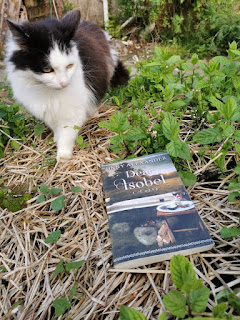 #animals #cats #books Jinny Alexander answers #13Questions in OA's Debut Author Spotlight #NewBook #DebutAuthor #2022Books #13Questions