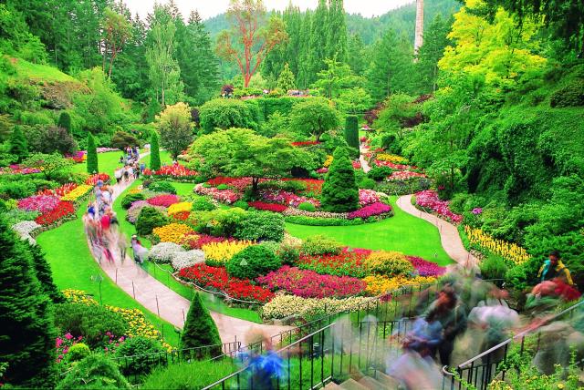 Cool Nature Pictures: Colorful Butchart Garden  Victoria 