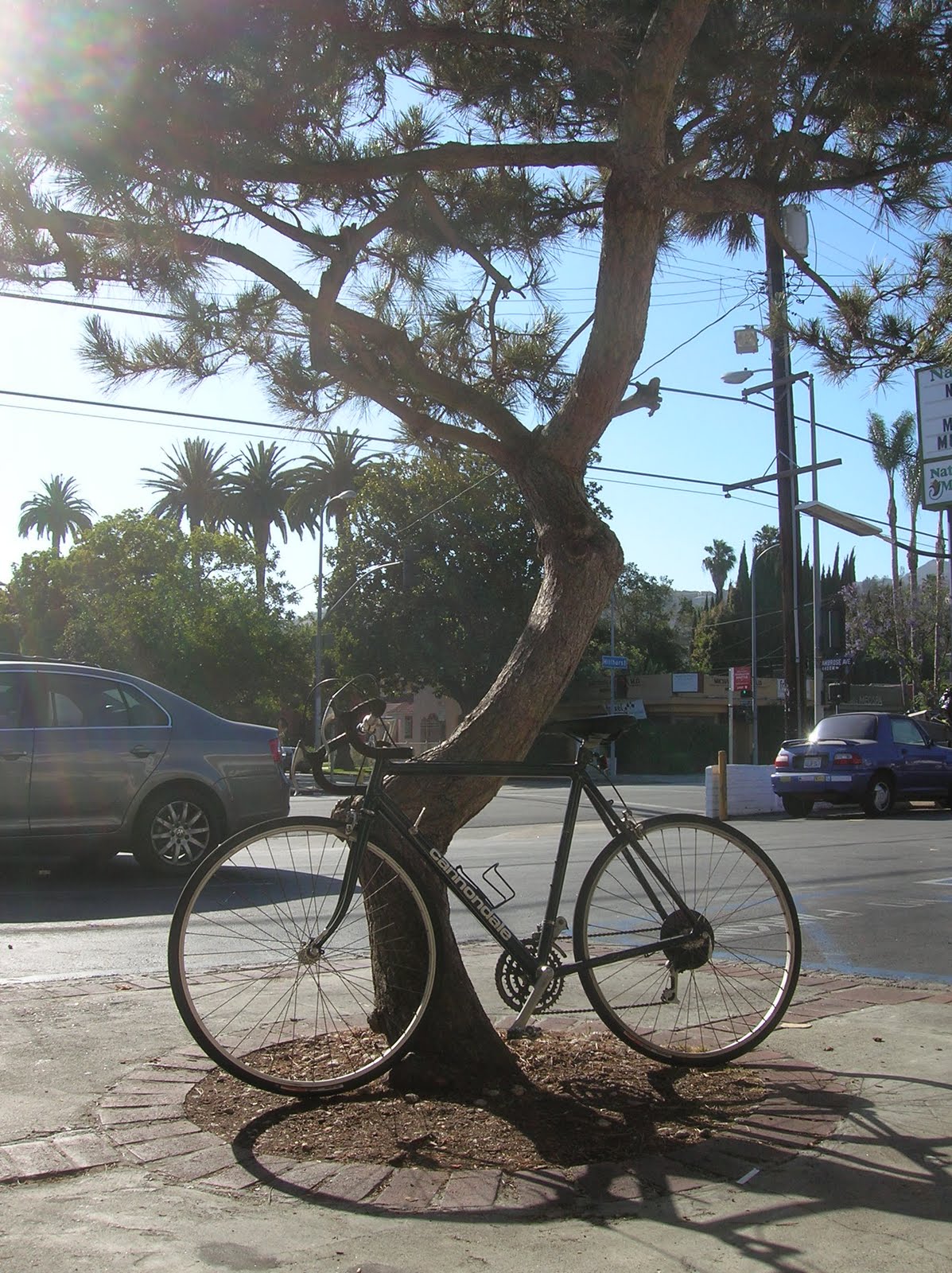 holly wood bike rack