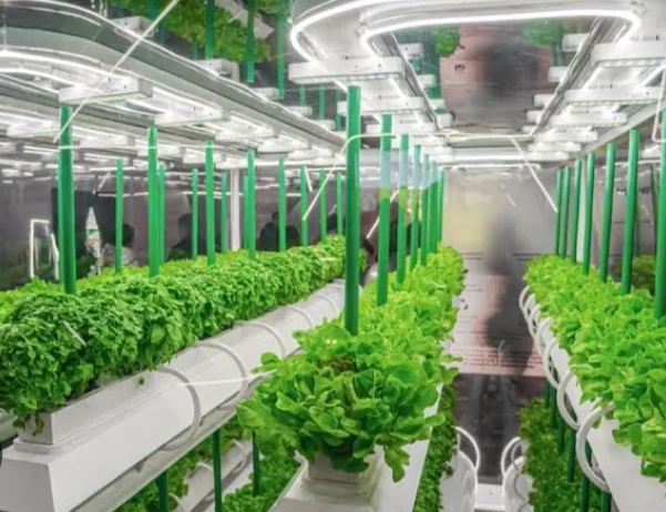 New Technology adoption in the Modern Agriculture