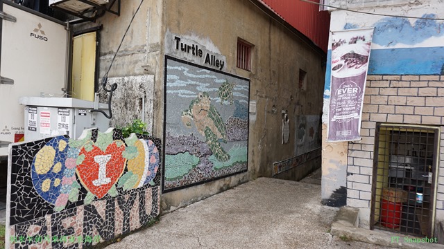 海龟巷Turtle Alley
