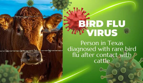 bird flu virus