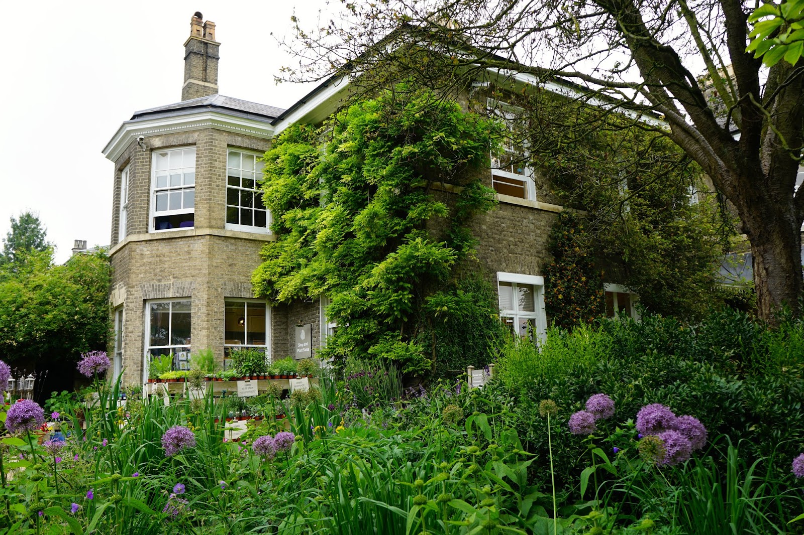 Primrose Gardens ケンブリッジ大学ボタニックガーデン ケンブリッジ Cambridge University Botanic Garden