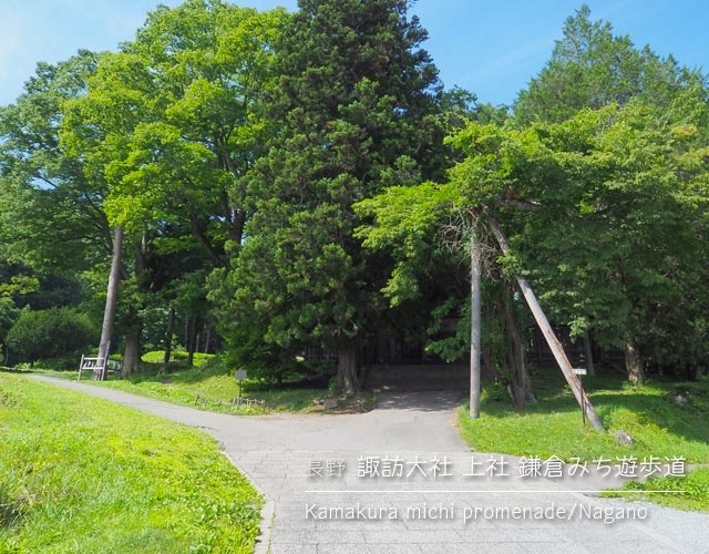 諏訪大社上社「鎌倉道遊歩道」