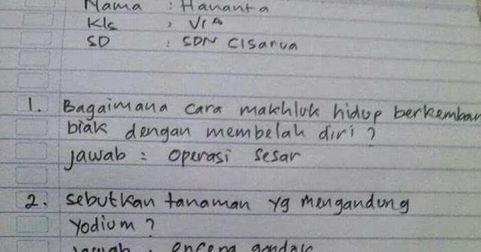 Ditanya Soal Mamalia, Jawaban Kocak Siswa Kelas 6 SD Bikin 