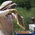How to make money from apiculture/bee keeping.