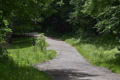 Le Grand Sentier Gatineau Quebec.