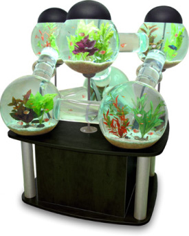 Creative Aquarium fish tank