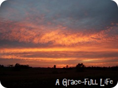 October 9 2011