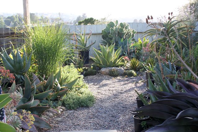 Backyard garden path