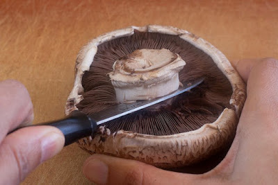 Slice off the stem of the mushroom