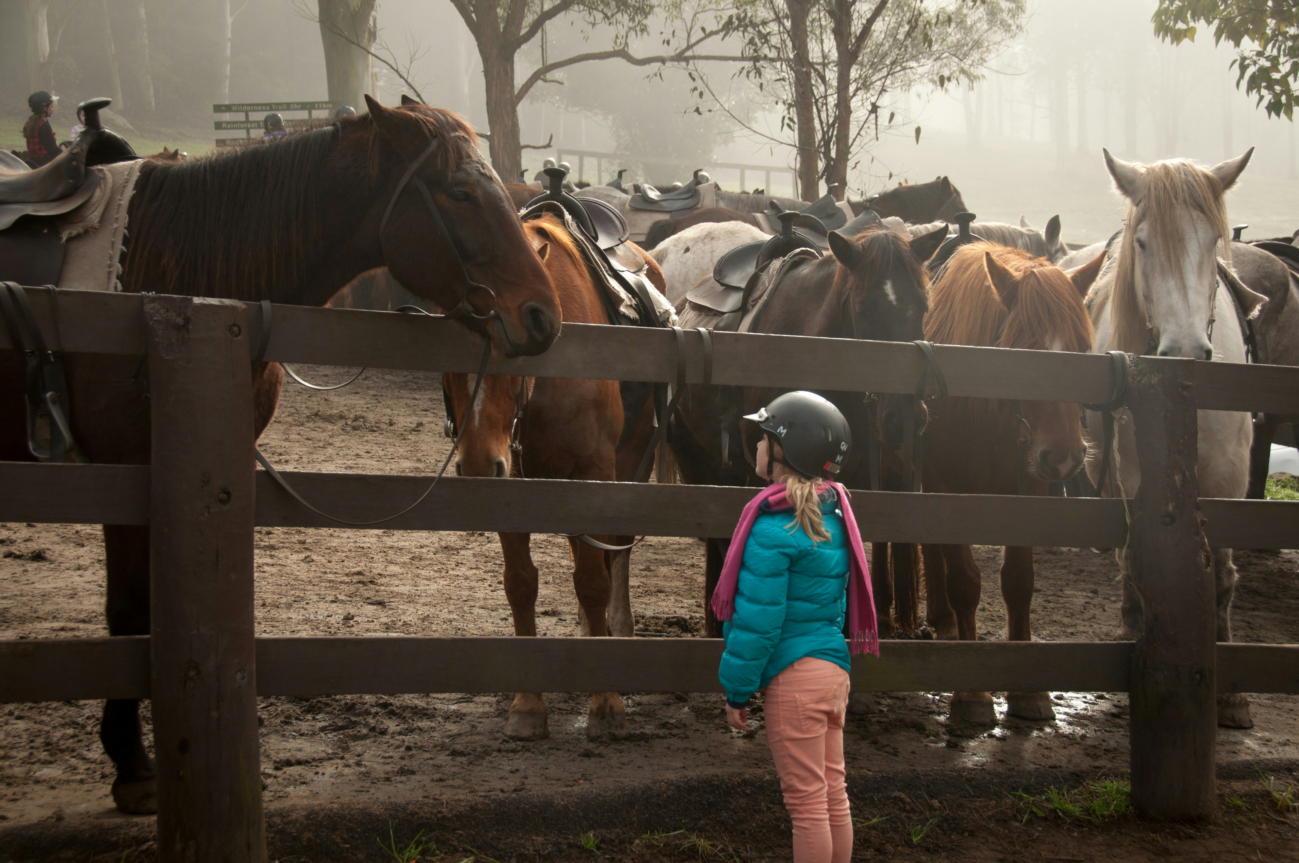  Why Horse Riding Lessons Are Beneficial For Young Children 