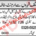 Khabrain Sunday Classified Ads 24 Dec Available in 2023 For Management
