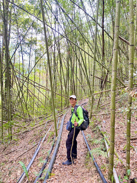 紅香山下山--回抵水管路