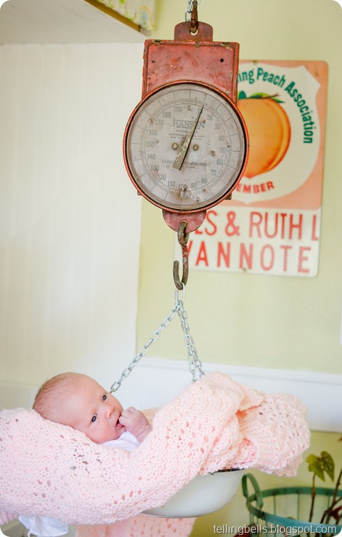 liby bell newborn-9 copy