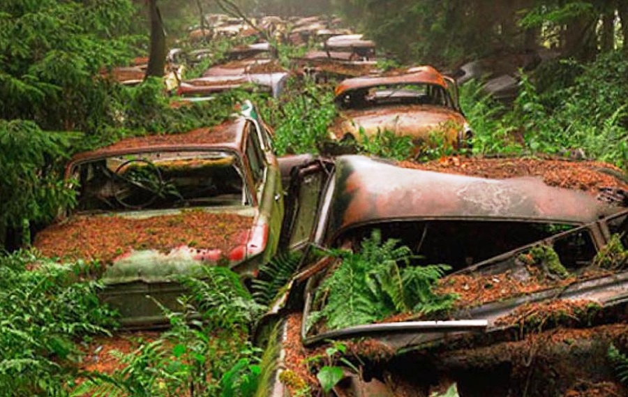 Chatillon Car Graveyard, Belgium - A 70 Year Old Traffic Jam In Belgium Forest