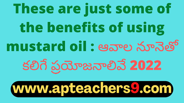 These are just some of the benefits of using mustard oil : ఆవాల నూనెతో కలిగే ప్రయోజనాలివే 2022  daily massage with mustard oil mustard oil disadvantages benefits of mustard oil for skin why mustard oil is not banned in india benefits of mustard oil massage on feet benefits of mustard oil in cooking mustard oil massage benefits mustard oil benefits for brain side effects of mint leaves lungs cleaning treatment benefits of drinking mint water in morning mint leaves steam for face lungs cleaning treatment for smokers benefits of mint leaves how to use ginger for lungs how to clean lungs in 3 days Carrot juice benefits in telugu 17 benefits of mustard seed 5 uses of mustard 10 uses of mustard how much mustard should i eat a day mustard seeds side effects benefits of chewing mustard seed dijon mustard health benefits is mustard good for your stomach Benefits of Vaseline on face Vaseline on face overnight before and after Vaseline petroleum jelly for skin whitening 100 uses for Vaseline Does Blue Seal Vaseline lighten the skin Vaseline uses for skin 19 unusual uses for Vaseline Effect of petroleum jelly on lips barley pests and diseases how to use barley for diabetes diseases of barley ppt how to use barley powder barley benefits and side effects barley disease control barley diseases integrated pest management of barley how to sleep better at night naturally good sleep habits food for good sleep tips on how to sleep through the night how to get a good night sleep and wake up refreshed how to sleep fast in 5 minutes how to sleep through the night without waking up how to sleep peacefully without thinking how to use turmeric to boost immune system turmeric immune booster recipe turmeric immune booster shot raw turmeric vs powder 10 serious side effects of turmeric raw turmeric powder best time to eat raw turmeric raw turmeric benefits for liver best antibiotic for cough and cold name of antibiotics for cough and cold best medicine for cold and cough best antibiotic for cold and cough for child best tablet for cough and cold in india best cold medicine for runny nose cold and cough medicine for adults best cold and flu medicine for adults moringa leaf powder benefits what happens when you drink moringa everyday? side effects of moringa list of 300 diseases moringa cures pdf how to use moringa leaves what sickness can moringa cure how long does it take for moringa to start working can moringa cure chest pain how to use aloe vera to lose weight rubbing aloe vera on stomach how to prepare aloe vera juice for weight loss best time to drink aloe vera juice for weight loss how to use forever aloe vera gel for weight loss aloe vera juice weight loss stories how much aloe vera juice to drink daily for weight loss benefits of eating oranges everyday benefits of eating oranges for skin benefits of eating orange at night orange benefits and side effects benefits of eating orange in empty stomach orange benefits for men how many oranges a day to lose weight how many oranges should i eat a day is orthostatic hypotension dangerous orthostatic hypotension symptoms causes of orthostatic hypotension orthostatic hypotension in 20s orthostatic hypotension treatment orthostatic hypotension test how to prevent orthostatic hypotension orthostatic hypotension treatment in elderly what will happen if we drink dirty water for class 1 what are the diseases associated with water? which water is safe for drinking dangers of tap water 5 dangers of drinking bad water what happens if you drink contaminated water what to do if you drink contaminated water 5 ways to make water safe for drinking how long before bed should you turn off electronics side effects of using phone at night does screen time affect sleep in adults sleeping with phone near head why you shouldn't use your phone before bed screen time before bed research adults screen time doesn't affect sleep using phone at night bad for eyes how many tulsi leaves should be eaten in a day how to cure high blood pressure in 3 minutes tulsi leaves side effects tricks to lower blood pressure instantly what happens if we eat tulsi leaves daily high blood pressure foods to avoid what to drink to lower blood pressure quickly how to consume tulsi leaves why am i sleeping too much all of a sudden i sleep 12 hours a day what is wrong with me oversleeping symptoms causes of oversleeping how to recover from sleeping too much oversleeping effects is 9 hours of sleep too much why am i suddenly sleeping for 10 hours side effects of eating raw curry leaves how many curry leaves to eat per day benefits of curry leaves for hair curry leaves health benefits benefits of curry leaves boiled water curry leaves benefits and side effects how to eat curry leaves curry leaves benefits for uterus side effects of drinking cold water symptoms of drinking too much water does drinking cold water cause cold drinking cold water in the morning on an empty stomach does drinking cold water increase weight disadvantages of drinking cold water in the morning is drinking cold water bad for your heart effect of cold water on bones food for strong bones and muscles indian food for strong bones and muscles how to increase bone strength naturally list five foods you can eat to build strong, healthy bones. vitamins for strong bones and joints medicine for strong bones and joints calcium-rich foods for bones 2 factors that keep bones healthy food for strong bones and muscles indian food for strong bones and muscles how to increase bone strength naturally list five foods you can eat to build strong, healthy bones. vitamins for strong bones and joints medicine for strong bones and joints calcium-rich foods for bones 2 factors that keep bones healthy Top 10 health benefits of dates Benefits of dates for womens Health benefits of dates Dates benefits for sperm How many dates to eat per day Dry dates benefits for male Soaked dates benefits Dry dates benefits for female silver water benefits how much colloidal silver to purify water silver in water purification silver in drinking water health benefit of drinking hard water what is silver water silver ion water purifier colloidal silver poisoning how i cured my lower back pain at home how to relieve back pain fast how to cure back pain fast at home back pain home remedies drink how to cure upper back pain fast at home female lower back pain treatment what is the best medicine for lower back pain? one stretch to relieve back pain side effects of drinking salt water why is drinking salt water harmful benefits of drinking warm water with salt in the morning benefits of drinking salt water salt water flush didn't make me poop himalayan salt detox side effects when to eat after salt water flush 10 uses of salt water side effects of carbonated drinks harmful effects of soft drinks wikipedia disadvantages of soft drinks in points drinking too much pepsi symptoms drinking too much coke side effects effects of carbonated drinks on the body side effects of drinking coca-cola everyday harmful effects of soft drinks on human body pdf what happens if you don't breastfeed your baby baby feeding mother milk breastfeeding mother 14 risks of formula feeding is bottle feeding safe for newborn baby negative effects of formula feeding are formula-fed babies healthy breastfeeding vs bottle feeding breast milk what is the best cream for deep wrinkles around the mouth best anti aging cream 2021 scientifically proven anti aging products best anti aging cream for 40s what is the best wrinkle cream on the market? best anti aging cream for 30s best treatment for wrinkles on face best anti aging skin care products for 50s carbonated soft drinks market demand for soft drinks trends in carbonated soft drink industry carbonated soft drink market in india cold drink sales statistics soft drink sales 2021 soda industry market share of soft drinks in india 2021 how much tomato to eat per day 10 benefits of tomato eating tomato everyday benefits benefits of eating raw tomatoes in the morning disadvantages of eating tomatoes why are tomatoes bad for your gut eating tomato everyday for skin disadvantages of eating raw tomatoes green peas benefits for skin green peas benefits for weight loss green peas side effects green peas benefits for hair benefits of peas and carrots green peas calories green peas protein per 100g dry peas benefits benefits of walnuts for females benefits of walnuts for skin benefits of walnuts for male 15 proven health benefits of walnuts benefits of almonds how many walnuts to eat per day walnut benefits for sperm soaked walnuts benefits 5 health benefits of walking barefoot spiritual benefits of walking barefoot dangers of walking barefoot benefits of walking barefoot at home disadvantages of walking barefoot is walking barefoot at home bad benefits of walking barefoot on grass in the morning walking barefoot meaning how to cure asthma forever how to prevent asthma how to prevent asthma attacks at night asthma prevention diet what causes asthma how to stop asthmatic cough what is the best treatment for asthma how to avoid asthma triggers at home amaranth leaves side effects thotakura juice benefits thotakura benefits in telugu amaranth benefits amaranth benefits for skin amaranth benefits for hair red amaranth leaves side effects amaranth leaves iron content skin diseases list with pictures 5 ways of preventing skin diseases 10 skin diseases blood test for hair loss female symptoms of skin diseases common skin diseases hair loss after covid treatment and vitamins what do dermatologists prescribe for hair loss pomegranate benefits for female benefits of pomegranate for skin benefits of pomegranate seeds pomegranate benefits for men benefits of pomegranate juice how much pomegranate juice per day pomegranate juice side effects benefits of pomegranate leaves simple health tips 10 tips for good health 100 health tips natural health tips health tips for adults health tips 2021 health tips of the day simple health tips for everyday living healthy tips simple health tips for students 100 simple health tips healthy lifestyle tips health tip of the week simple health tips for everyone simple health tips for everyday living 10 tips for a healthy lifestyle pdf 20 ways to stay healthy 5-minute health tips 100 health tips in hindi simple health tips for everyone 100 health tips pdf 100 health tips in tamil 5 tips to improve health natural health tips for weight loss natural health tips in hindi simple health tips for everyday living 100 health tips in hindi health in hindi daily health tips 10 tips for good health how to keep healthy body 20 health tips for 2021 health tips 2022 mental health tips 2021 heart health tips 2021 health and wellness tips 2021 health tips of the day for students fun health tips of the day mental health tips of the day healthy lifestyle tips for students health tips for women simple health tips 10 tips for good health 100 health tips healthy tips in hindi natural health tips health tips for students simple health tips for everyday living health tip of the week healthy tips for school students health tips for primary school students health tips for students pdf daily health tips for school students health tips for students during online classes mental health tips for students simple health tips for everyone health tips for covid-19 healthy lifestyle tips for students 10 tips for a healthy lifestyle healthy lifestyle facts healthy tips 10 tips for good health simple health tips health tips 2021 health tips natural health tips 100 health tips health tips for students simple health tips for everyday living 6 basic rules for good health 10 ways to keep your body healthy health tips for students simple health tips for everyone 5 steps to a healthy lifestyle maintaining a healthy lifestyle healthy lifestyle guidelines includes simple health tips for everyday living healthy lifestyle tips for students healthy lifestyle examples 10 ways to stay healthy 100 health tips 5 ways to stay healthy 10 ways to stay healthy and fit simple health tips simple health tips for everyday living health tips for students health tips in hindi beauty tips health tips for women health tips bangla health tips for young ladies 10 best health tips female reproductive health tips women's day health tips health tips in kannada women's health tips for heart, mind and body women's health tips for losing weight healthy woman body beauty tips at home beauty tips natural beauty tips for face beauty tips for girls beauty tips for skin beauty tips of the day top 10 beauty tips beauty tips hindi health tips for school students health tips for students during exams five ways of maintaining good health 10 ways to stay healthy at home ways to keep fit and healthy 6 tips to stay fit and healthy how to stay fit and healthy at home 20 ways to stay healthy ways to keep fit and healthy essay 5 ways to stay healthy essay 10 ways to stay healthy at home write five points to keep yourself healthy 5 ways to stay healthy during quarantine 10 tips for a healthy lifestyle healthy lifestyle essay unhealthy lifestyle examples 5 steps to a healthy lifestyle healthy lifestyle article for students talk about healthy lifestyle healthy lifestyle benefits healthy lifestyle for students in school healthy tips for school students importance of healthy lifestyle for students health tips for students during online classes health tips for students pdf health and wellness for students healthy lifestyle for students essay healthy lifestyle article for students 10 ways to stay healthy and fit ways to keep fit and healthy essay 6 tips to stay fit and healthy how to stay fit and healthy at home what are the best ways for students to stay fit and healthy how to keep body fit and strong on the basis of the picture given below, describe how we can keep ourselves fit and healthy how to be fit in 1 week write 10 rules for good health golden rules for good health health rules most important things you can do for your health how to keep your body healthy and strong five ways of maintaining good health mental health tips 2022 top 10 tips to maintain your mental health mental health tips for students self-care tips for mental health mental health 2022 fun activities to improve mental health 10 ways to prevent mental illness how to be mentally healthy and happy world heart day theme 2021 world heart day 2021 health tips news world heart day wikipedia world heart day 2020 world heart day pictures world heart day theme 2020 happy heart day 5 ways to prevent covid-19 best food for covid-19 recovery 10 ways to prevent covid-19 covid-19 health and safety protocols precautions to be taken for covid-19 covid-19 diet plan pdf safety measures after covid-19 precautions for covid-19 patient at home how to keep reproductive system healthy 10 ways in keeping the reproductive organs clean and healthy why is it important to keep your reproductive system healthy how to take care of your reproductive system male what are the proper ways of taking care of the female reproductive organs male ways of taking care of reproductive system ppt taking care of reproductive system grade 5 prevention of reproductive system diseases proper ways of taking care of the reproductive organs ways of taking care of reproductive system ppt how to take care of reproductive system male what are the proper ways of taking care of the female reproductive organs care of male and female reproductive organs? why is it important to take care of the reproductive organs the following are health habits to keep the reproductive organs healthy which one is care of male and female reproductive organs? what are the proper ways of taking care of the female reproductive organs ways of taking care of reproductive system ppt ways to take care of your reproductive system why is it important to take care of the reproductive organs taking care of reproductive system grade 5 how to take care of your reproductive system poster what are the proper ways of taking care of the female reproductive organs taking care of reproductive system grade 5 what are the proper ways of taking care of the male reproductive organs care of male and female reproductive organs? female reproductive system - ppt presentation female reproductive system ppt pdf reproductive system ppt anatomy and physiology reproductive system ppt grade 5 talk about healthy lifestyle cue card importance of healthy lifestyle importance of healthy lifestyle speech what is healthy lifestyle essay healthy lifestyle habits my healthy lifestyle healthy lifestyle essay 100 words healthy lifestyle short essay healthy lifestyle essay 150 words healthy lifestyle essay pdf benefits of a healthy lifestyle essay healthy lifestyle essay 500 words healthy lifestyle essay 250 words disadvantages of jaggery 33 health benefits of jaggery how much jaggery to eat everyday benefits of jaggery water vitamins in jaggery dark brown jaggery benefits jaggery benefits for sperm jaggery benefits for male