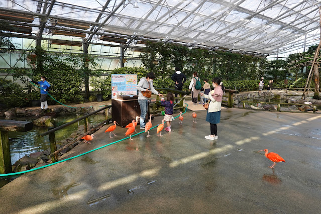 島根県松江市大垣町　松江フォーゲルパーク　水鳥温室