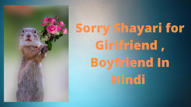 Sorry Shayari for Girlfriend , Boyfriend In Hindi 140 Words