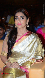 Actress Shriya Saran New Images in Silk Saree at Gautamiputra Satakarni Audio Launch  0003.jpg