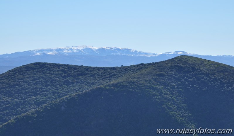 Subida al Peñón de Algámitas