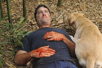 Jack near death with dog from Lost