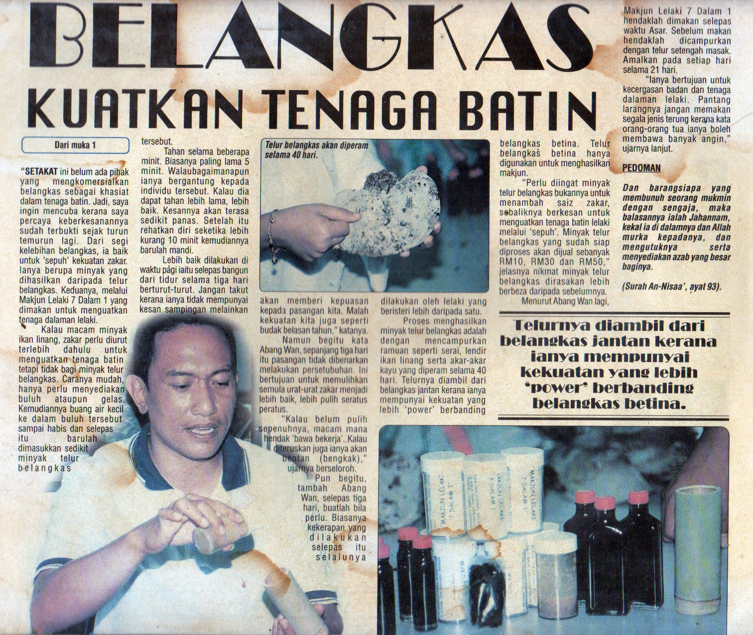 Ubat Ikan Belacak - 11 Descargar