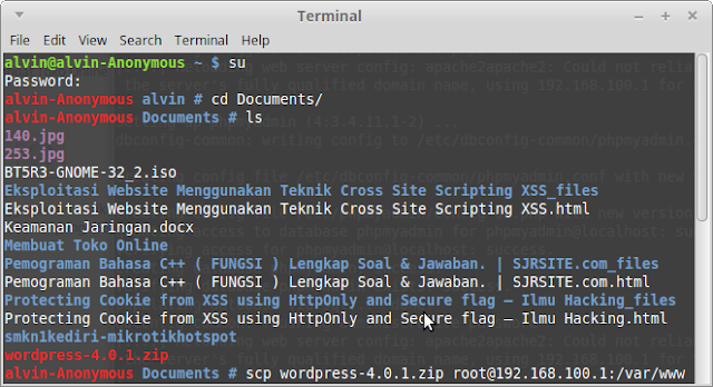 Cara install CMS Wordpress di Debian Server