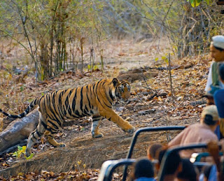 bandhavgarh National Park, Government Exam Questions