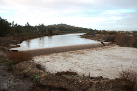 Río Guadalete. Azud de 'El Portal'. Jerez