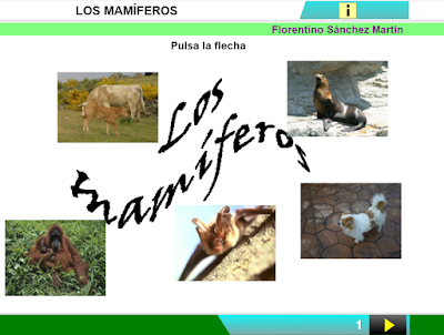 https://cplosangeles.educarex.es/web/edilim/curso_3/cmedio/animales_vertebrados_3/mamiferos/mamiferos.html