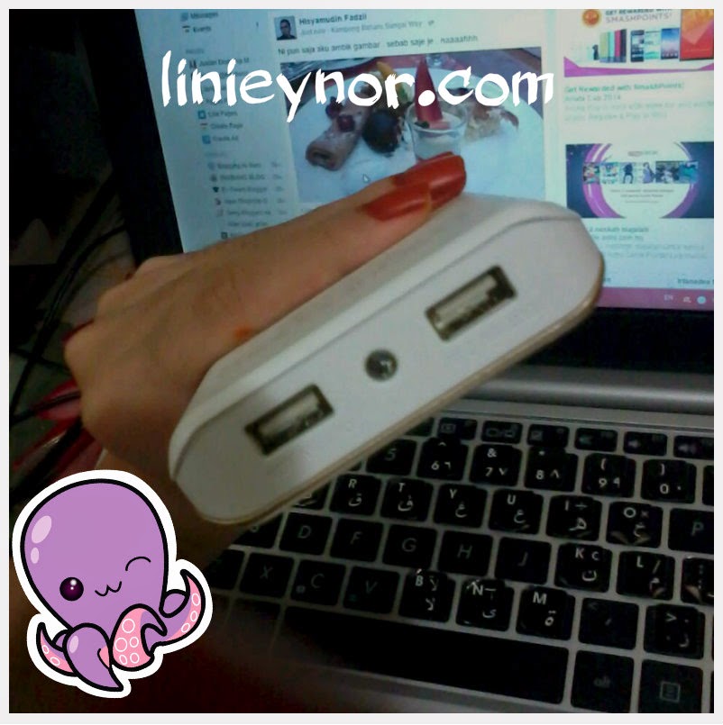 powerbank original