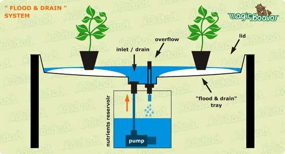 EBB and Flow (Drain and Flow)