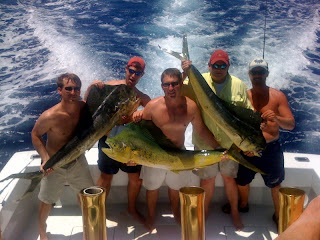 fishing party with dolphin on boat