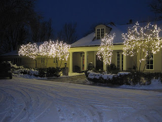 commercial Christmas Light Installation Ann Arbor