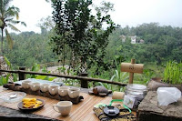 Bali Pulina Luwak Coffee