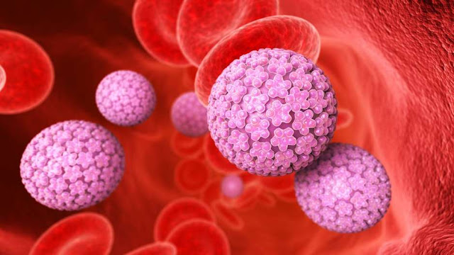 O HPV não é transmitido apenas sexualmente, mas também por meio do contato com a pele ou mucosa infectadas - Foto: Getty Images / BBC News Brasil