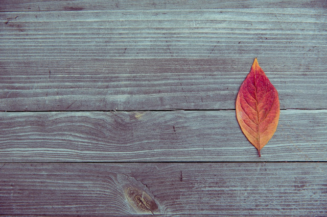 If you have any dilema with the download free wallpaper Red-And-Orange-Leaf-On-Wood