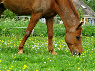 Posture typique, symptôme du syndrome high/low.