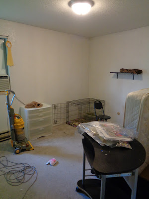 Small Home Improvement Project - The 2nd Bedroom - Demo!
