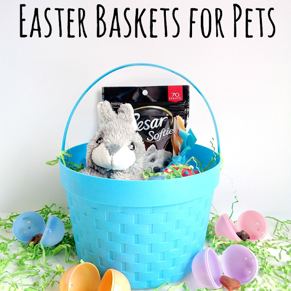 5 Tips For Creating Easter Baskets For Pets
