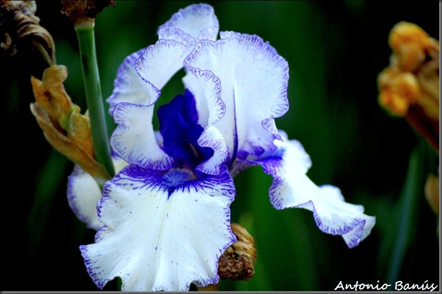 2 DSC_5398x2