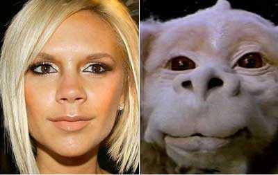 Celebrity Look-A-likes funny 