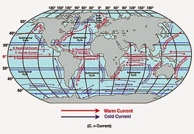 Arus lautan terbuka membentuk sistem hampir tertutup yang disebut gyre.