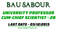 BAU-Jobs-2013